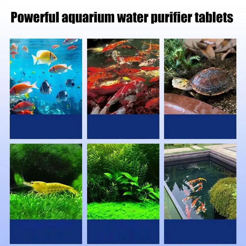 Water Purification Tablet - 強力な浄水タブレット 臭い除去剤 クリーニング洗浄藻類タブレット 効果的な水槽用殺藻剤 水槽用殺藻剤