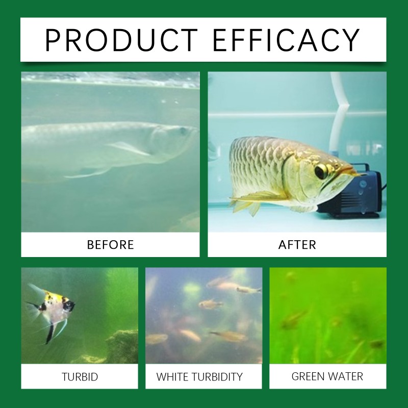 水槽用浄水タブレット 効率的な鮮度保持 簡単使用 長期安定性 - Water Purification Tablet のレビューと価格
